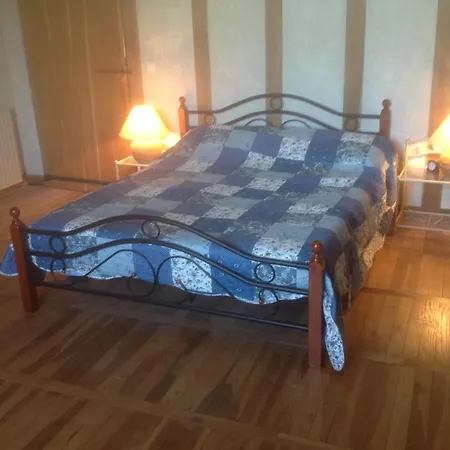 Les Tournesols Sariac-Magnoac